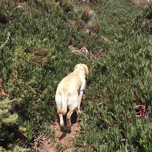 Meet your Posher, Monica